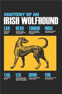 Anatomy Of An Irish Wolfhound