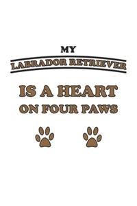 My Labrador Retriever is a heart on four paws