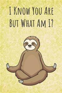 I Know You Are But What Am I?