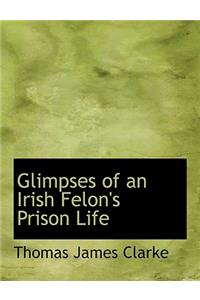 Glimpses of an Irish Felon's Prison Life