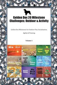 Golden Dox 20 Milestone Challenges