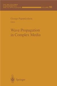 Wave Propagation in Complex Media