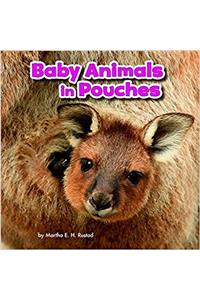 Baby Animals and Their Homes Pack A of 4