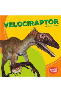 Velociraptor