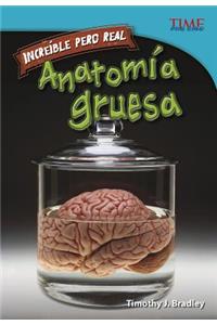 Increíble Pero Real: Anatomía Gruesa