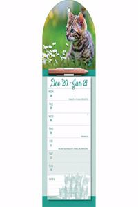 KITTENS WEEKTOVIEW MAGNETIC MEMO SLIM CA
