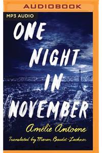 One Night in November