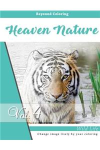 Mystery Wild Animals