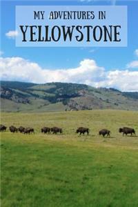 My Adventures in Yellowstone