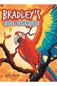 Bradley'S Tree Adventure