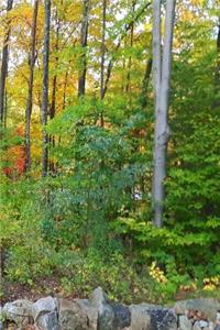 Journal Pretty Autumn Landscape
