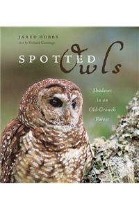 Spotted Owls: Shadows in an Old-Growth Forest