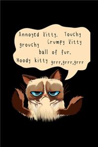 Annoyed Kitty