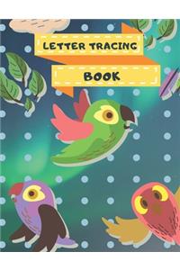 Letter Tracing Book