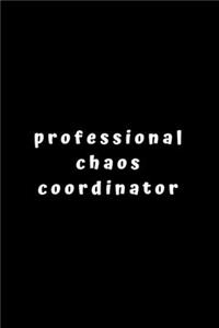 Professional Chaos Coordinator.