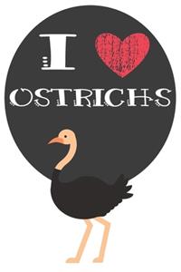 I Heart Ostrichs