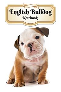 English Bulldog Notebook