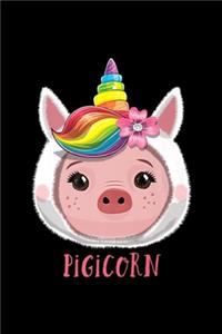Pigicorn