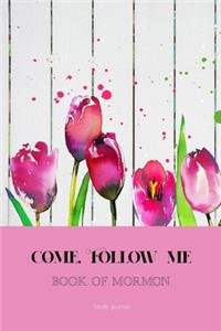 Come, Follow Me Book of Mormon Study Journal
