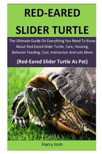 Red-Eared Slider Turtle