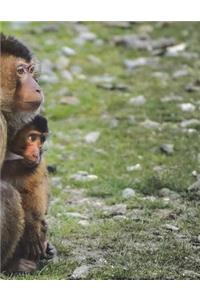 Barbary Ape Notebook Large Size 8.5 x 11 Ruled 150 Pages Softcover