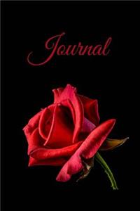 Journal