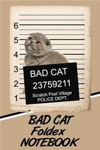 Bad Cat Foldex Notebook