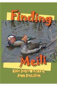 Finding Meili