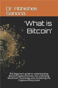 'What is Bitcoin'