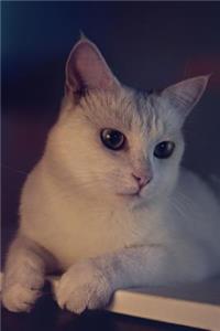 Cat Journal