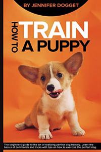 How to train a puppy