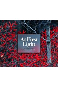 At First Light: