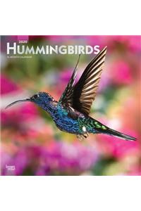 Hummingbirds 2020 Square Foil