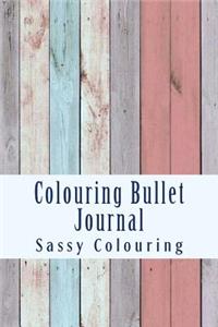 Colouring Bullet Journal