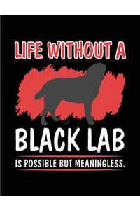 Life Without A Black Lab Is Possible But Meaningless.