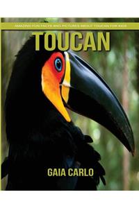 Toucan