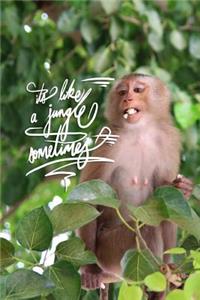 It's like a jungle sometimes