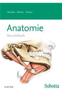 Sobotta Lehrbuch Anatomie