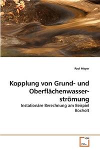 Kopplung von Grund- und Oberflächenwasserströmung