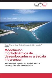 Modelación morfodinámica de desembocaduras a escala intra-anual