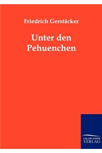 Unter den Pehuenchen