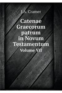 Catenae Graecorum Patrum in Novum Testamentum Volume VII