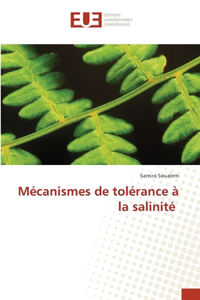 Mécanismes de tolérance à la salinité