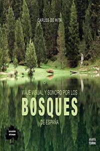 Viaje visual y sonoro por los bosques de Espana