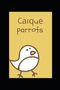 C???u? parrots