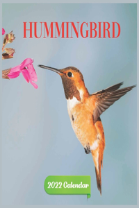 Calendar 2022 hummingbird
