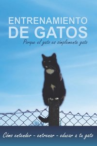 Entrenamiento de gatos porque el gato es simplemente gato