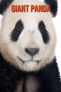 Giant Panda