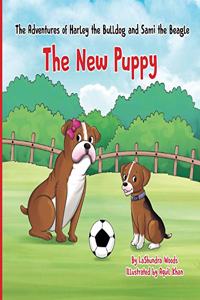Adventures of Harley the Bulldog and Sami the Beagle