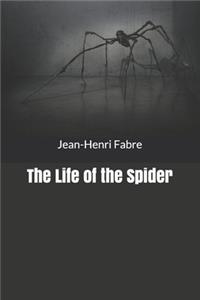 The Life of the Spider